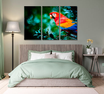 Big Colorful Parrot Macaw Canvas Print-Canvas Print-CetArt-1 Panel-24x16 inches-CetArt