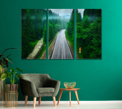 Road in Lovely Green Forest Carpathian Mountains Canvas Print-Canvas Print-CetArt-1 Panel-24x16 inches-CetArt