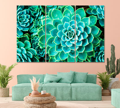 Magic Cactus in Botanic Garden Thailand Canvas Print-Canvas Print-CetArt-1 Panel-24x16 inches-CetArt