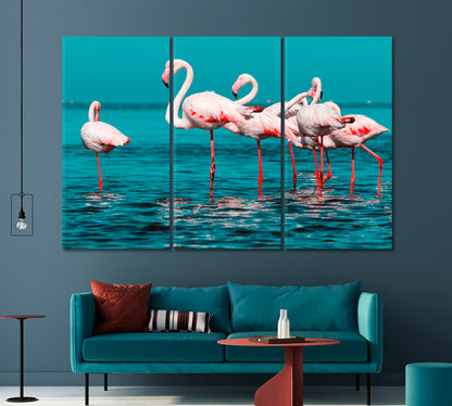 Group of White Flamingos Standing in Water Canvas Print-Canvas Print-CetArt-1 Panel-24x16 inches-CetArt