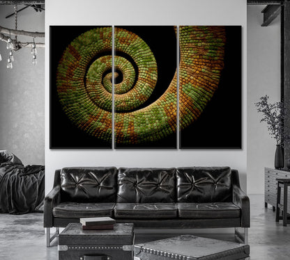 Chameleon Tail Canvas Print-Canvas Print-CetArt-1 Panel-24x16 inches-CetArt