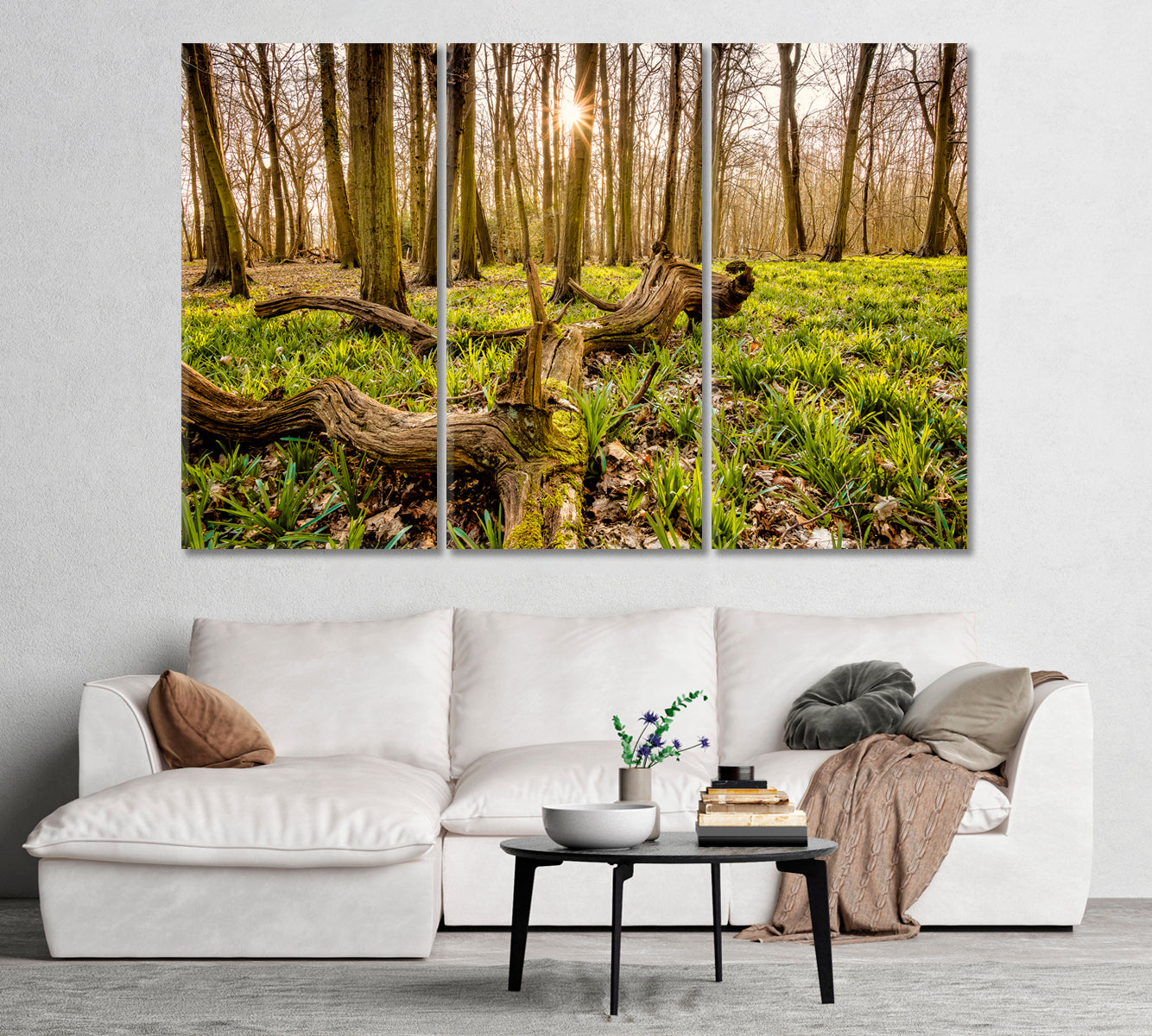 Forest with an Old Tree Trunk Canvas Print-Canvas Print-CetArt-1 Panel-24x16 inches-CetArt