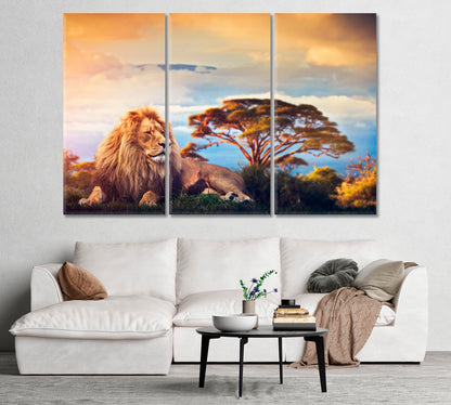 Lion Lying on Grass in Savannah Africa Canvas Print-Canvas Print-CetArt-1 Panel-24x16 inches-CetArt