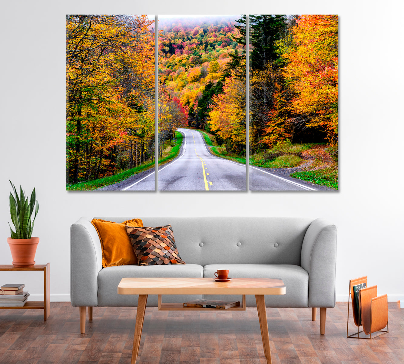 Autumn Road to Monongahela National Forest USA Canvas Print-Canvas Print-CetArt-1 Panel-24x16 inches-CetArt