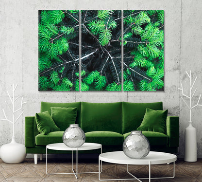 Green Spruce Needles Canvas Print-Canvas Print-CetArt-1 Panel-24x16 inches-CetArt