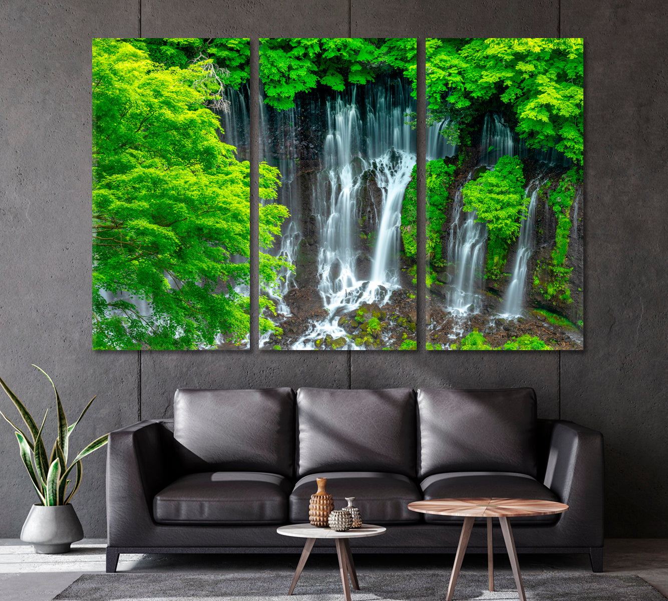 Shiraito Waterfall Japan Canvas Print-Canvas Print-CetArt-1 Panel-24x16 inches-CetArt