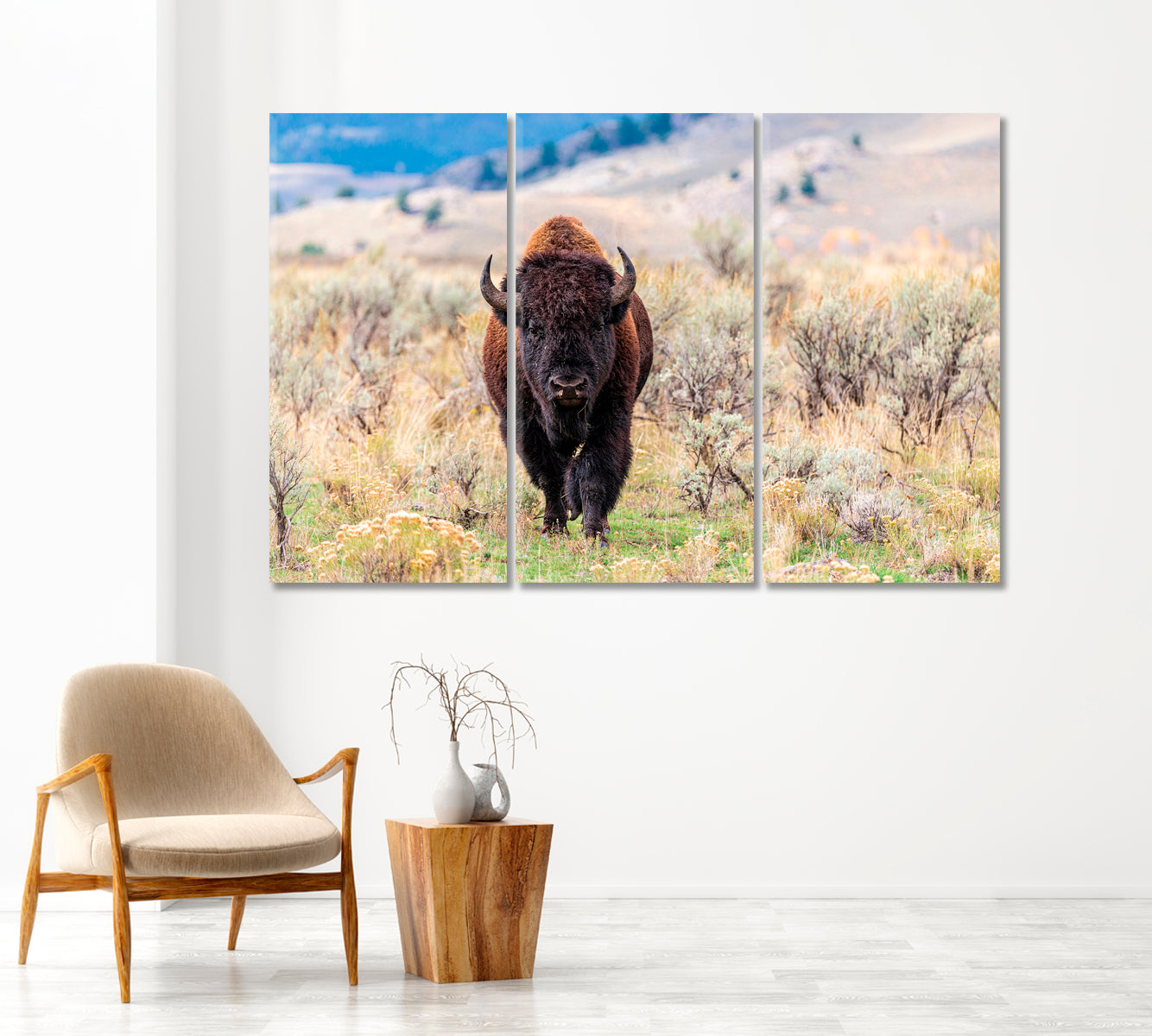 American Bison in Natural Habitat Canvas Print-Canvas Print-CetArt-1 Panel-24x16 inches-CetArt