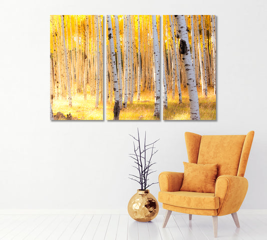 Aspen Trees in Autumn Flagstaff Arizona Canvas Print-Canvas Print-CetArt-1 Panel-24x16 inches-CetArt