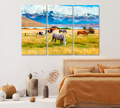 Herd of Wild Horses in Torres del Paine Park in Chile Canvas Print-Canvas Print-CetArt-1 Panel-24x16 inches-CetArt