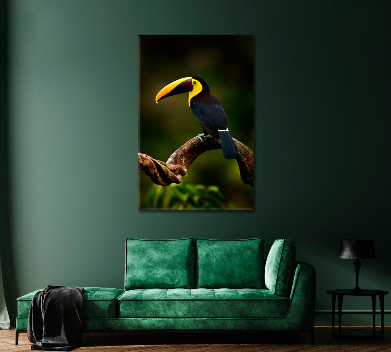 Yellow Throated Toucan Canvas Print-Canvas Print-CetArt-1 panel-16x24 inches-CetArt