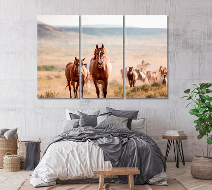 Pryor Mountain Horses Canvas Print-Canvas Print-CetArt-1 Panel-24x16 inches-CetArt