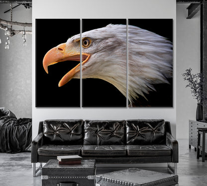 Portrait of Bald Eagle Canvas Print-Canvas Print-CetArt-1 Panel-24x16 inches-CetArt