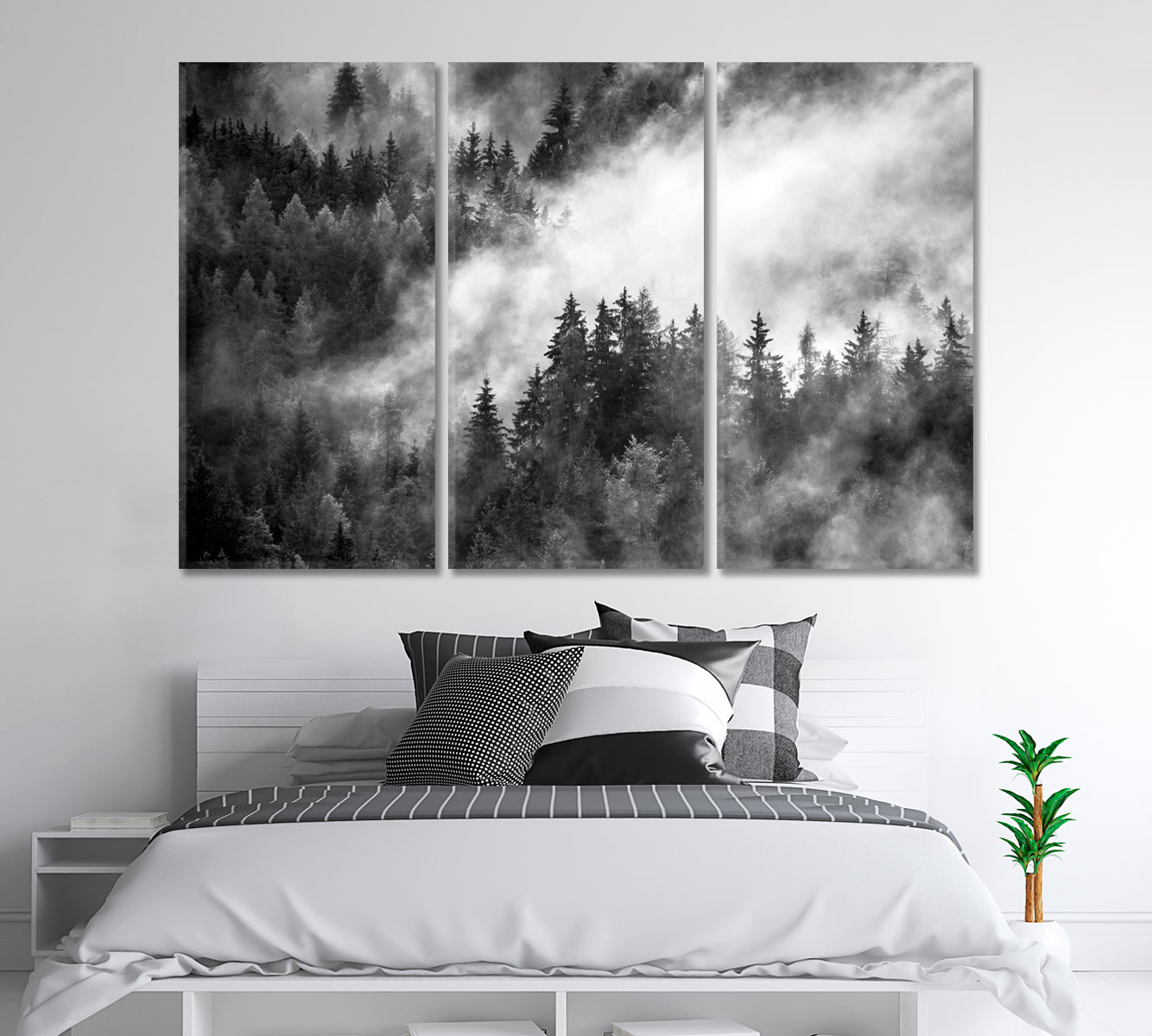 Dense Morning Fog over Spruce Forest Canvas Print-Canvas Print-CetArt-1 Panel-24x16 inches-CetArt