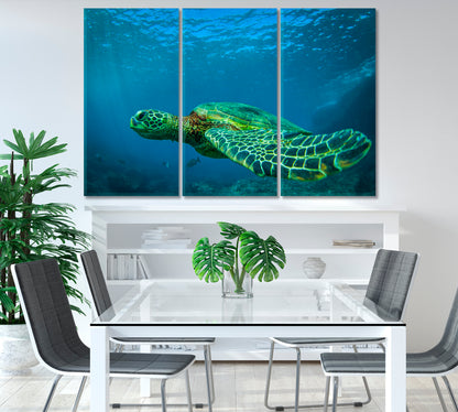 Green Sea Turtle Swimming Among Coral Reefs Canvas Print-Canvas Print-CetArt-1 Panel-24x16 inches-CetArt