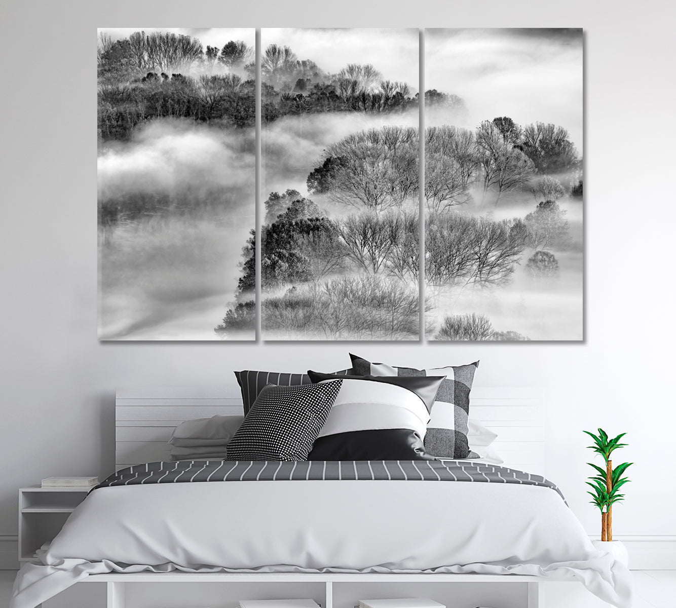 Foggy Forest Canvas Print-Canvas Print-CetArt-1 Panel-24x16 inches-CetArt