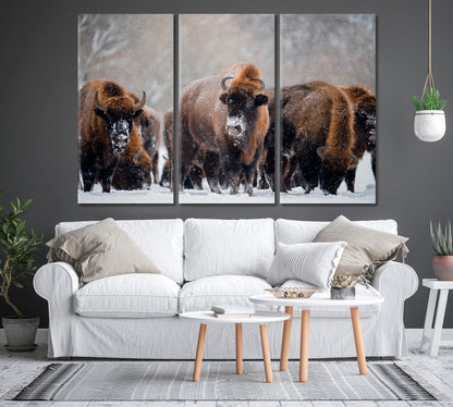 Herd of Wild Bisons in Winter Time Canvas Print-Canvas Print-CetArt-1 Panel-24x16 inches-CetArt