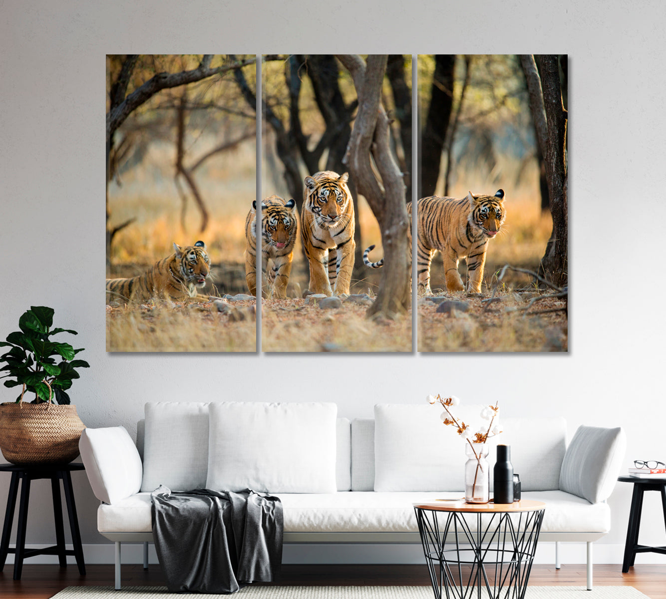 Tiger Family at Ranthambore National Park India Canvas Print-Canvas Print-CetArt-1 Panel-24x16 inches-CetArt