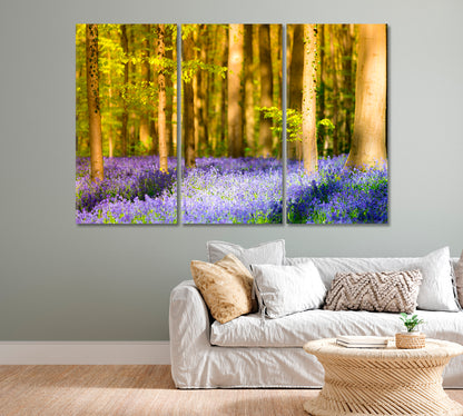 Hallerbos Beech Forest with Bluebells Flowers Canvas Print-Canvas Print-CetArt-1 Panel-24x16 inches-CetArt