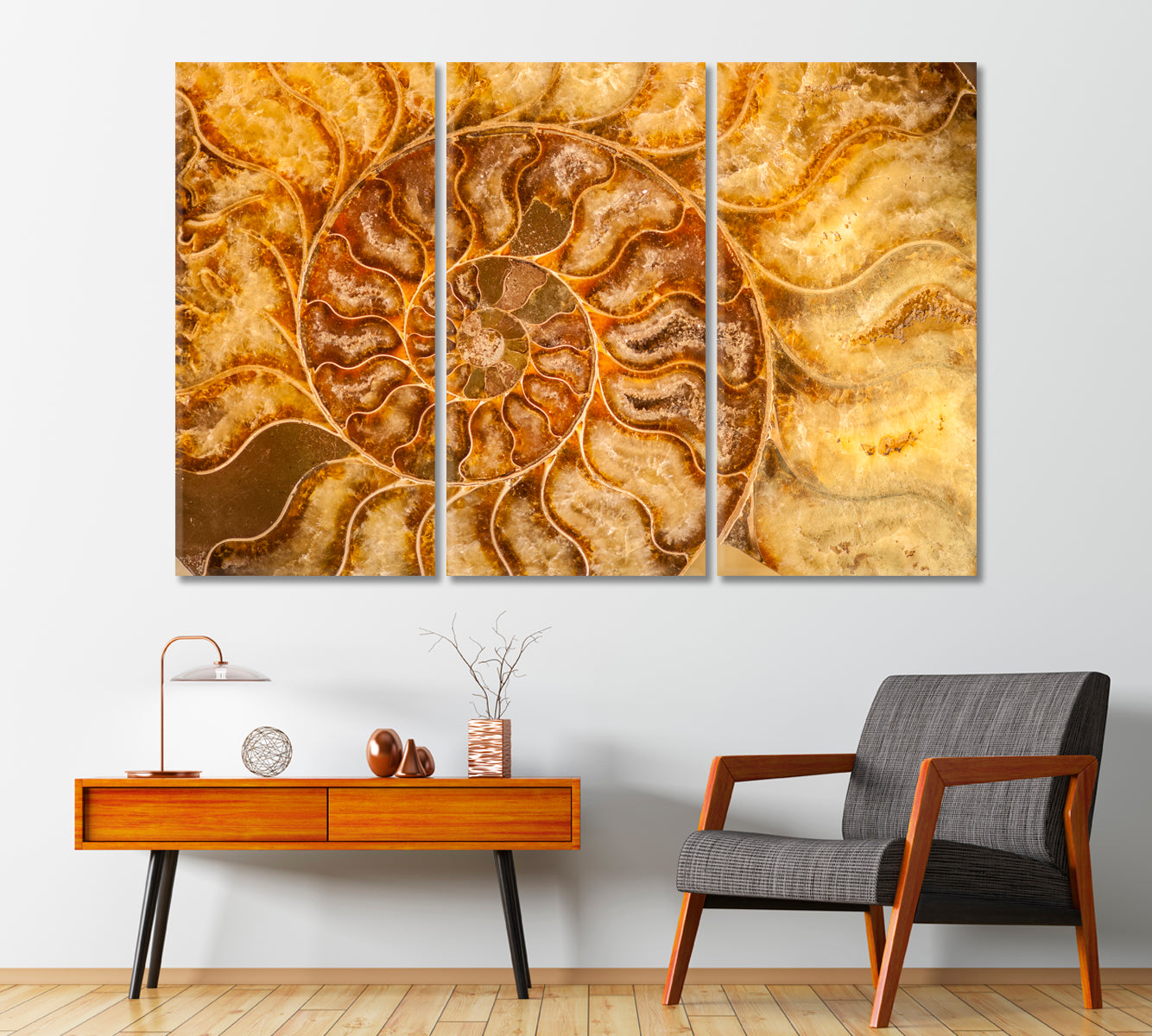 Nautilus Shell Fossil Canvas Print-Canvas Print-CetArt-1 Panel-24x16 inches-CetArt