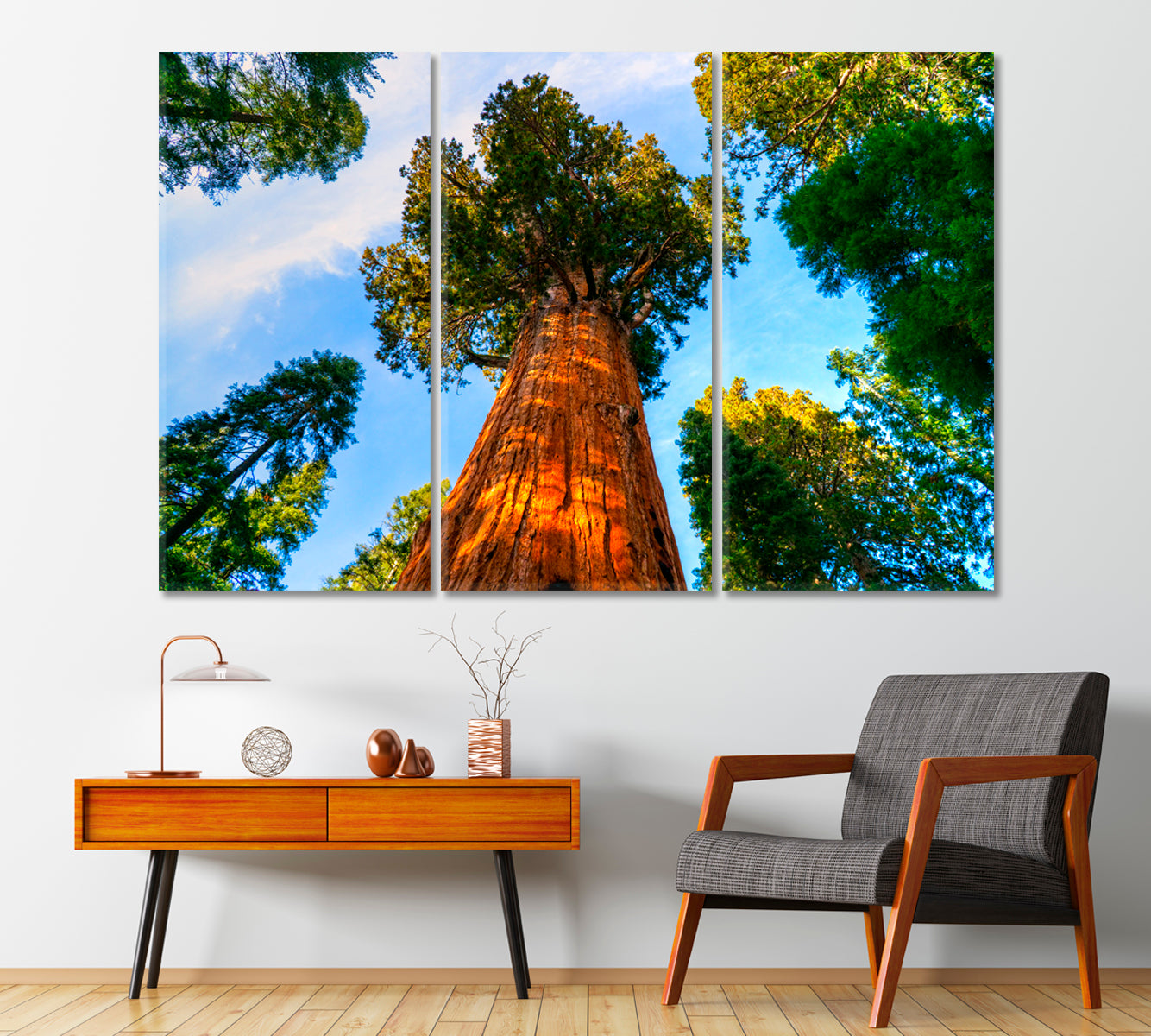 Sequoia National Park California United States Canvas Print-Canvas Print-CetArt-1 Panel-24x16 inches-CetArt