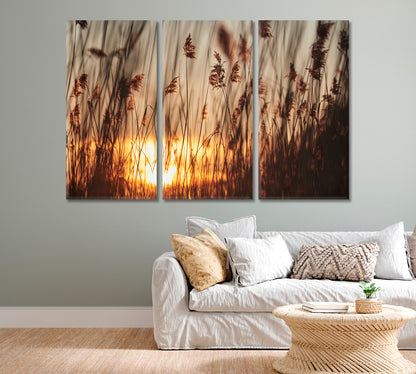 Reeds in Rays of Sun Canvas Print-Canvas Print-CetArt-1 Panel-24x16 inches-CetArt