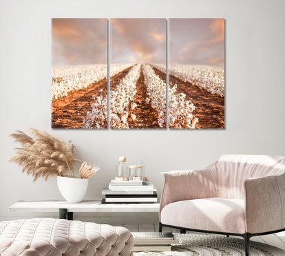 Cotton Fields of Texas Canvas Print-Canvas Print-CetArt-1 Panel-24x16 inches-CetArt