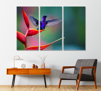 Hummingbird on Red Heliconia Flower Costa Rica Canvas Print-Canvas Print-CetArt-1 Panel-24x16 inches-CetArt