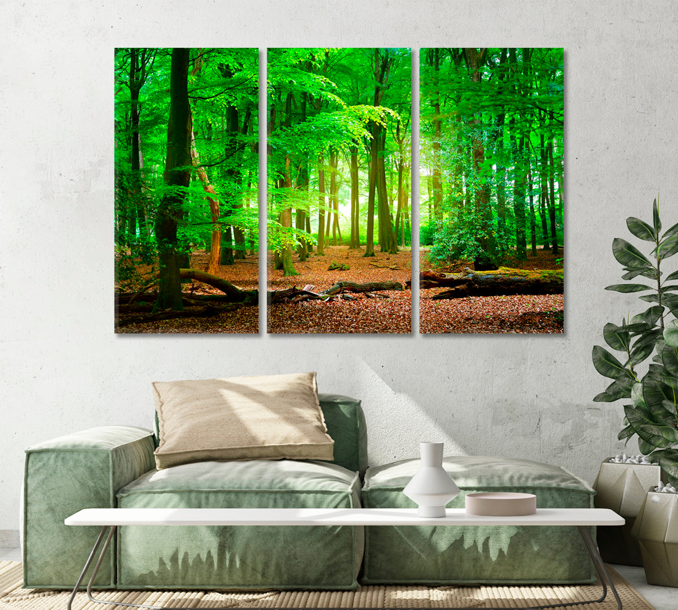 Mysterious Green Forest Veluwe Netherlands Canvas Print-Canvas Print-CetArt-1 Panel-24x16 inches-CetArt