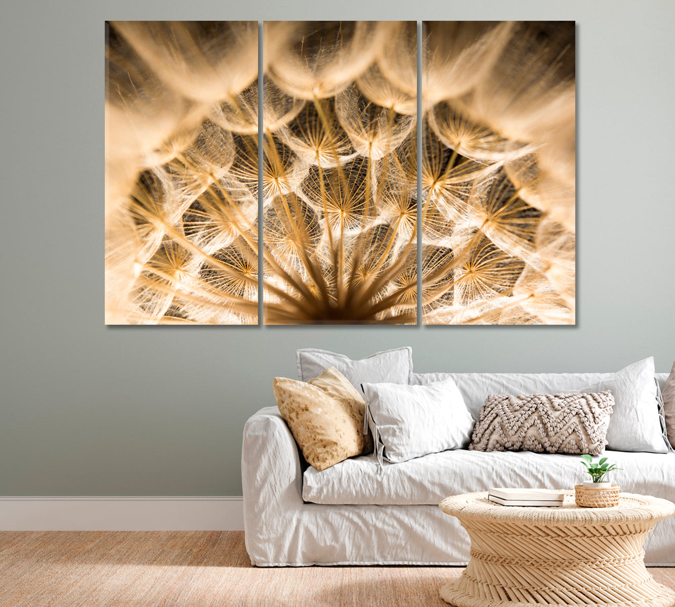 Dandelion Close Up Canvas Print-Canvas Print-CetArt-1 Panel-24x16 inches-CetArt