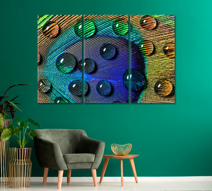 Peacock Feather with Drops Canvas Print-Canvas Print-CetArt-1 Panel-24x16 inches-CetArt