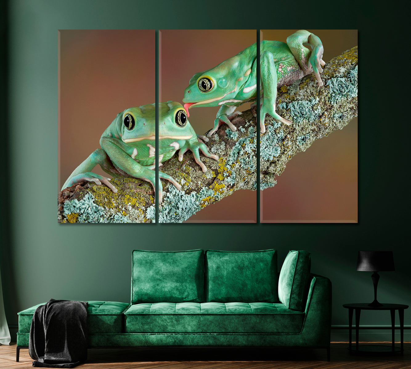 Pair of Wax Frogs Canvas Print-Canvas Print-CetArt-1 Panel-24x16 inches-CetArt