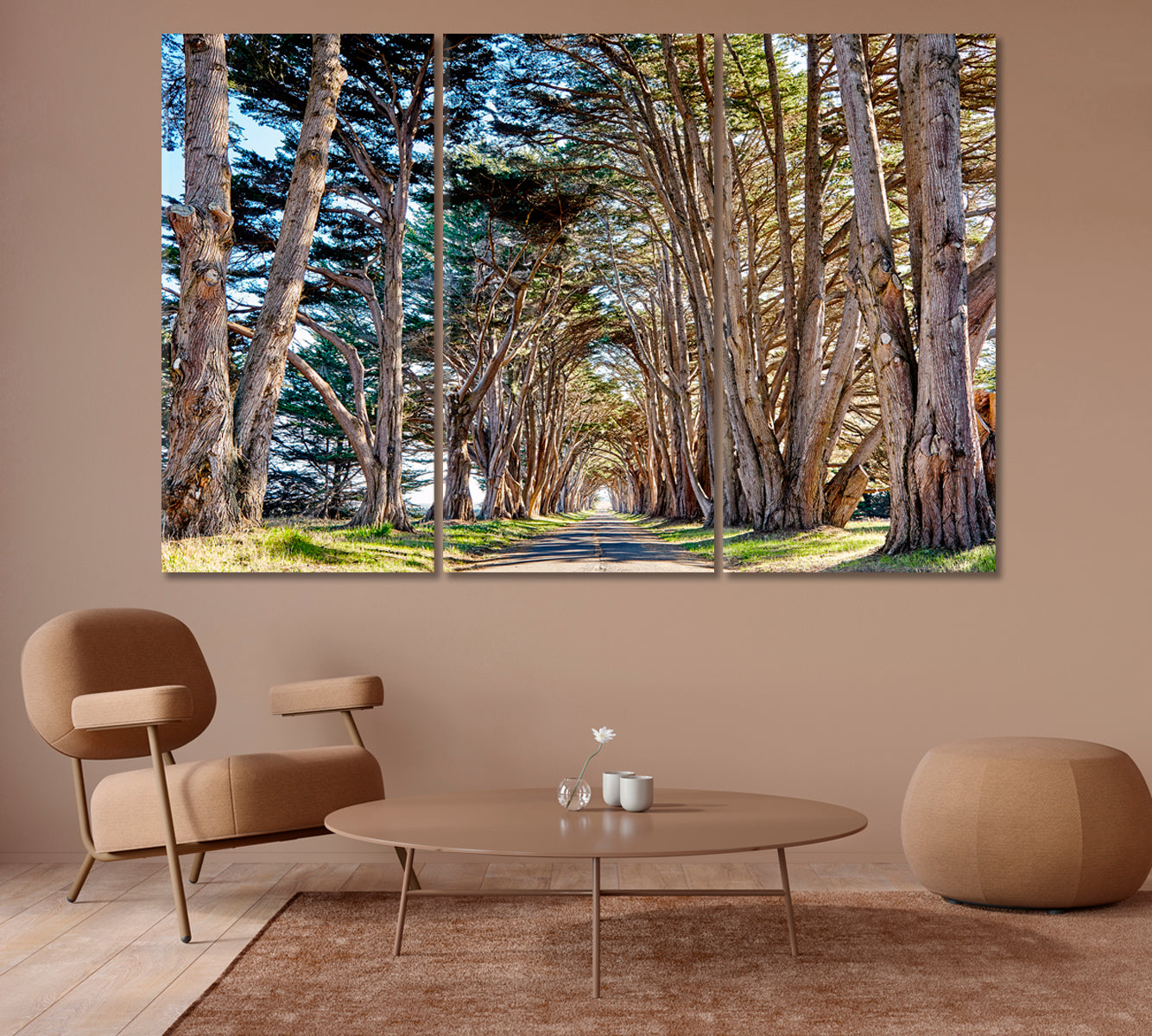 Tree Tunnel at California USA Canvas Print-Canvas Print-CetArt-1 Panel-24x16 inches-CetArt