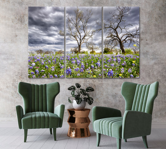 Bluebonnets Field Texas Canvas Print-Canvas Print-CetArt-1 Panel-24x16 inches-CetArt