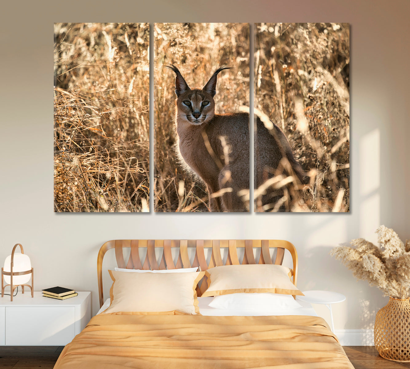 Beautiful Caracal African Lynx in Natural Habitat Canvas Print-Canvas Print-CetArt-1 Panel-24x16 inches-CetArt