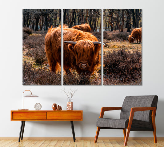 Highland Cattle Grazing Canvas Print-Canvas Print-CetArt-1 Panel-24x16 inches-CetArt