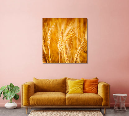 Golden Wheat Field Canvas Print-Canvas Print-CetArt-1 panel-12x12 inches-CetArt