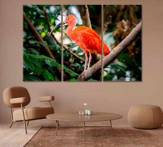 Scarlet Ibis on a Tropical Tree Branch Canvas Print-Canvas Print-CetArt-1 Panel-24x16 inches-CetArt