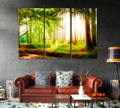 Beautiful Forest with Sunlight in Fog Canvas Print-Canvas Print-CetArt-1 Panel-24x16 inches-CetArt