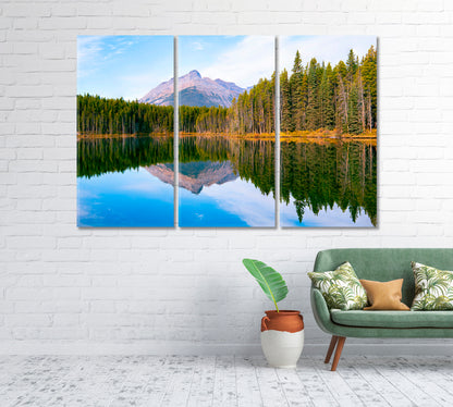 Forest Reflection at Herbert lake Jasper National Park Alberta Canada Canvas Print-Canvas Print-CetArt-1 Panel-24x16 inches-CetArt