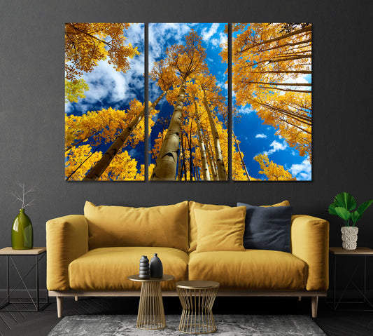 Yellow Aspen Trees in Autumn Colorado Canvas Print-Canvas Print-CetArt-1 Panel-24x16 inches-CetArt