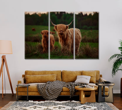 Highland Cow Mother and Calf In a Field Canvas Print-Canvas Print-CetArt-1 Panel-24x16 inches-CetArt