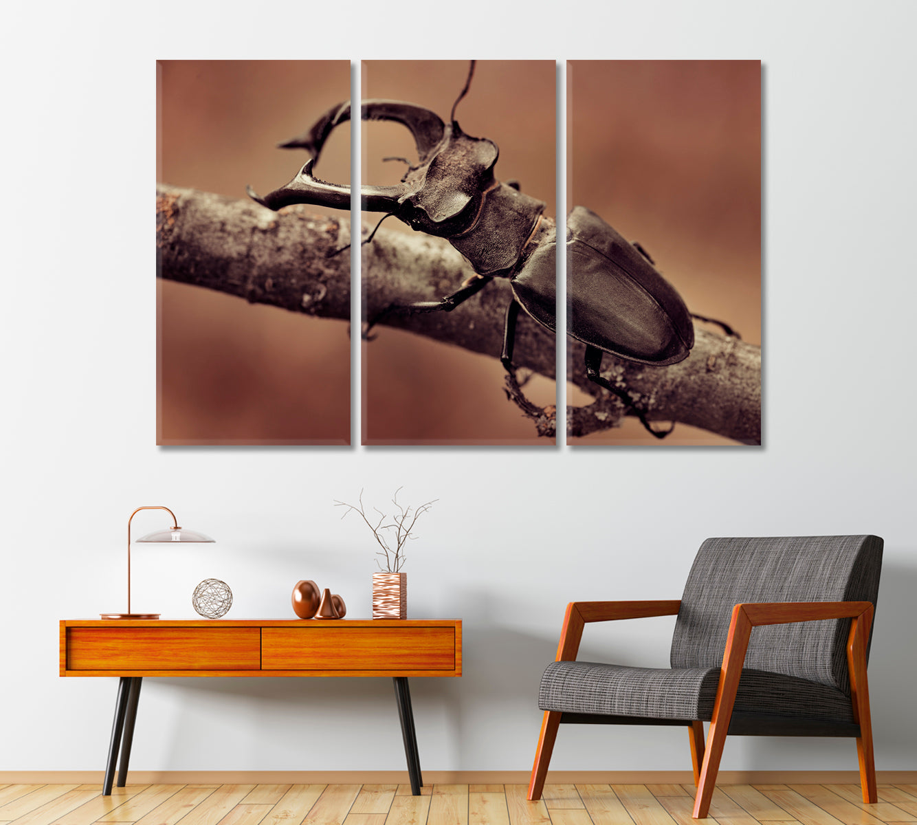 Deer Beetle Close Up Canvas Print-Canvas Print-CetArt-1 Panel-24x16 inches-CetArt