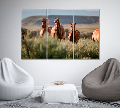 Beautiful American Horses Herd Wyoming Canvas Print-Canvas Print-CetArt-1 Panel-24x16 inches-CetArt