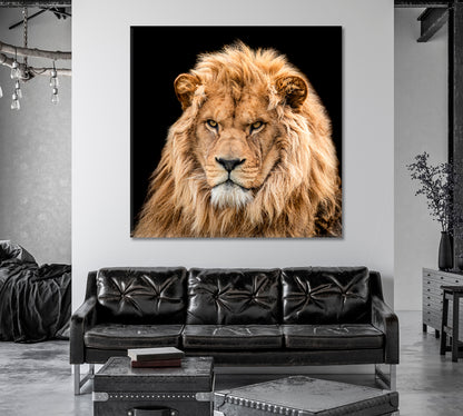 Portrait of Lion Canvas Print-Canvas Print-CetArt-1 panel-12x12 inches-CetArt