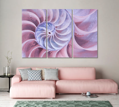 Nautilus Shell Canvas Print-Canvas Print-CetArt-1 Panel-24x16 inches-CetArt