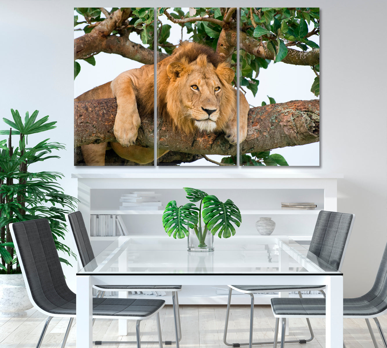 Lion Resting on a Tree in Uganda National Park Canvas Print-Canvas Print-CetArt-1 Panel-24x16 inches-CetArt