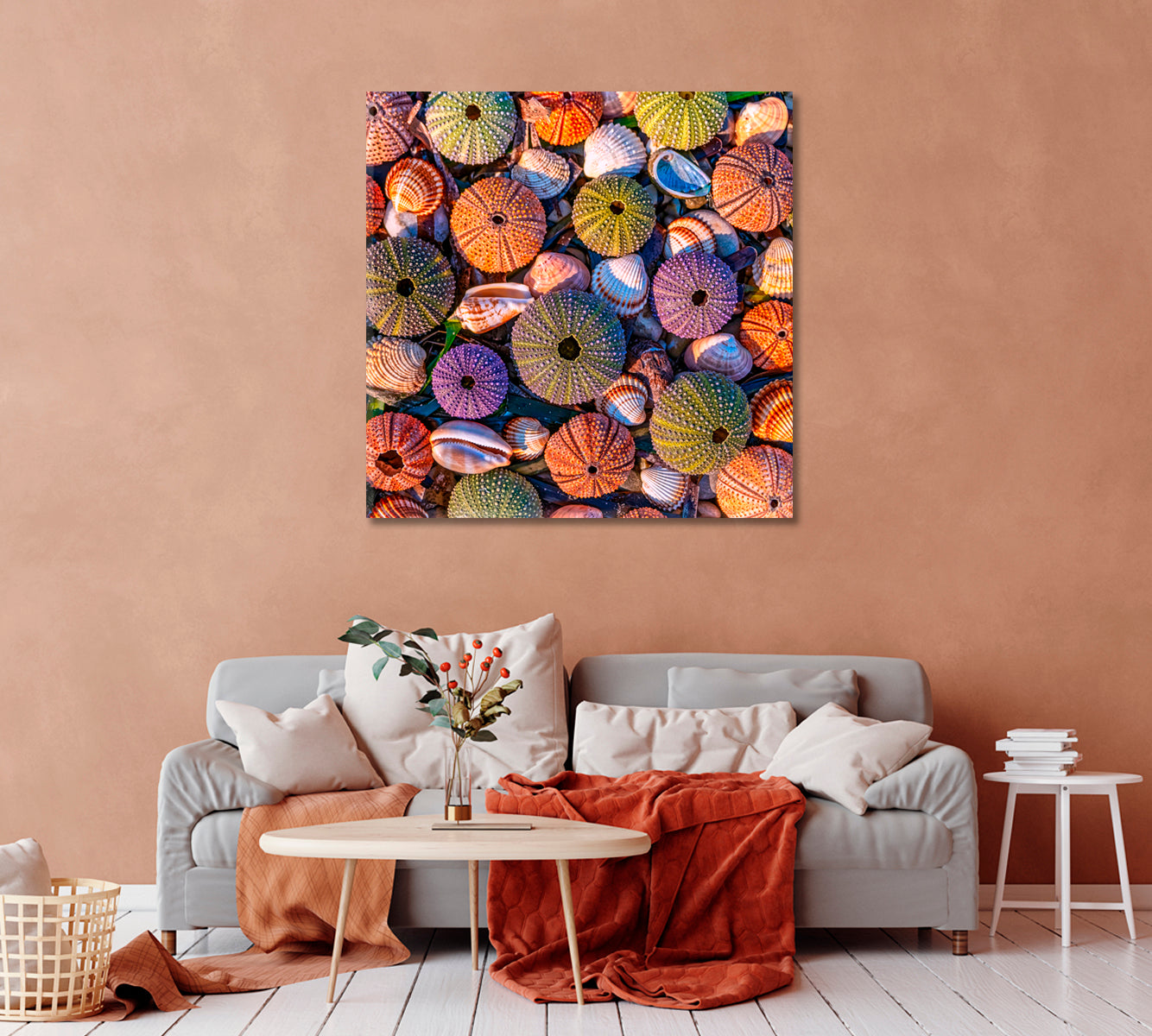 Sea Urchins Canvas Print-Canvas Print-CetArt-1 panel-12x12 inches-CetArt