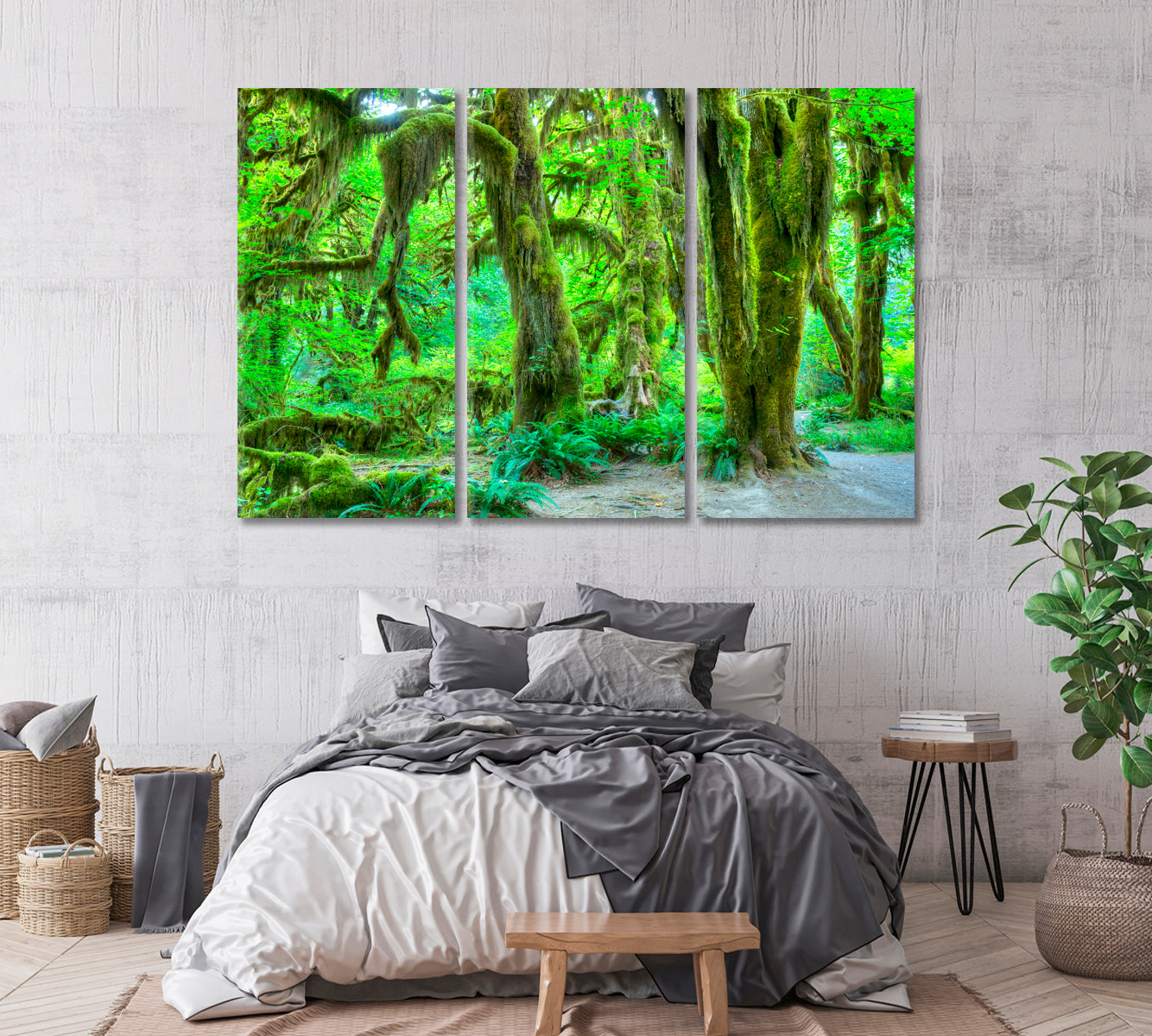 Hoh Rainforest Olympic NP Washington USA Canvas Print-Canvas Print-CetArt-1 Panel-24x16 inches-CetArt