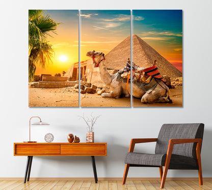 Camel Lies near Egyptian Pyramid Canvas Print-Canvas Print-CetArt-1 Panel-24x16 inches-CetArt