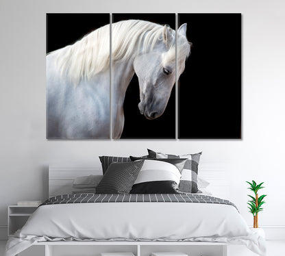 White Horse Portrait Canvas Print-Canvas Print-CetArt-1 Panel-24x16 inches-CetArt